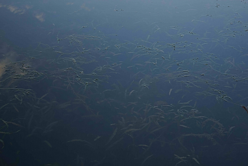 不朽情缘MG官方网站(试玩)游戏登录入口