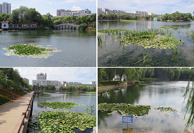 不朽情缘MG官方网站(试玩)游戏登录入口