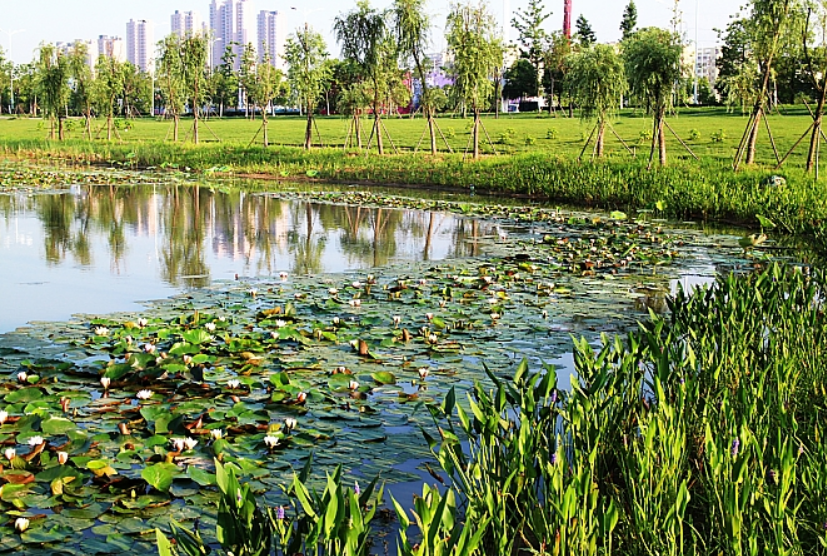 不朽情缘MG官方网站(试玩)游戏登录入口