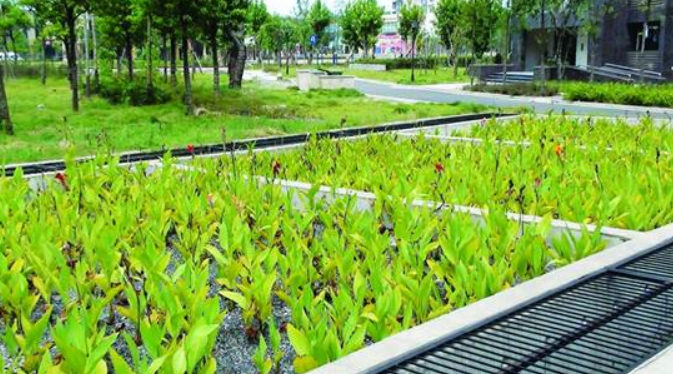 不朽情缘MG官方网站(试玩)游戏登录入口