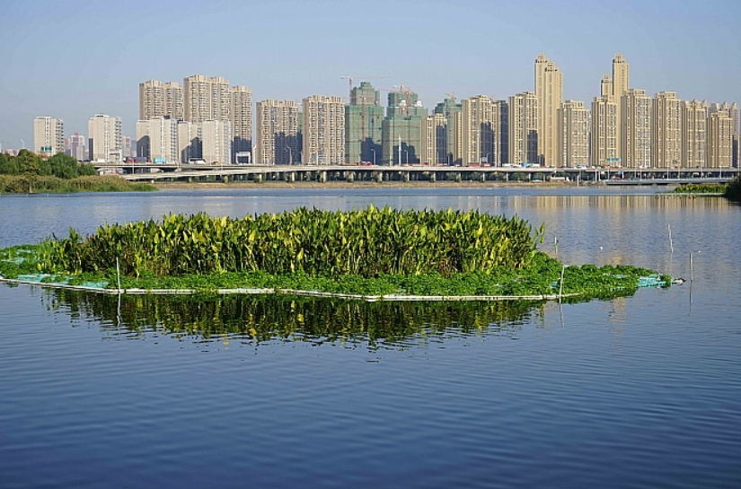 不朽情缘MG官方网站(试玩)游戏登录入口