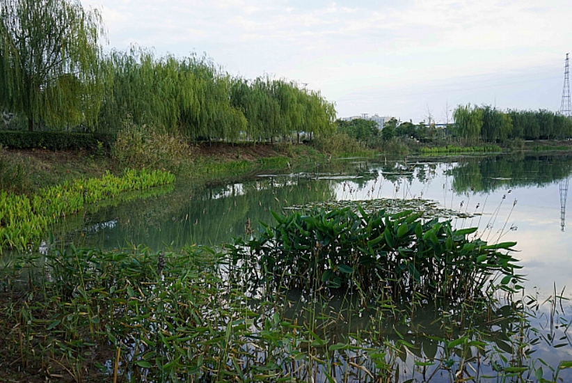 不朽情缘MG官方网站(试玩)游戏登录入口