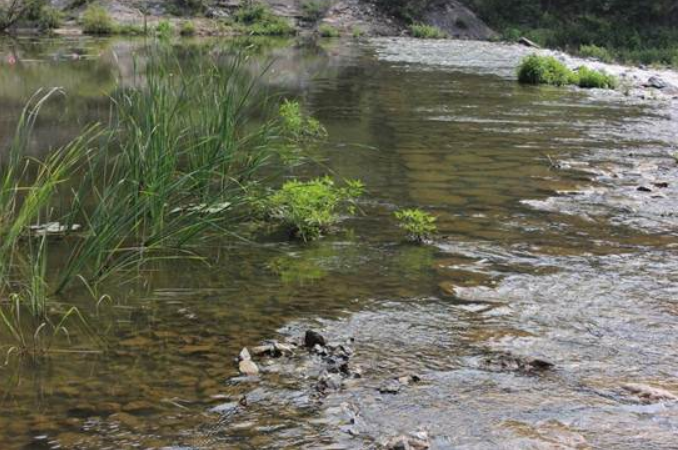 不朽情缘MG官方网站(试玩)游戏登录入口