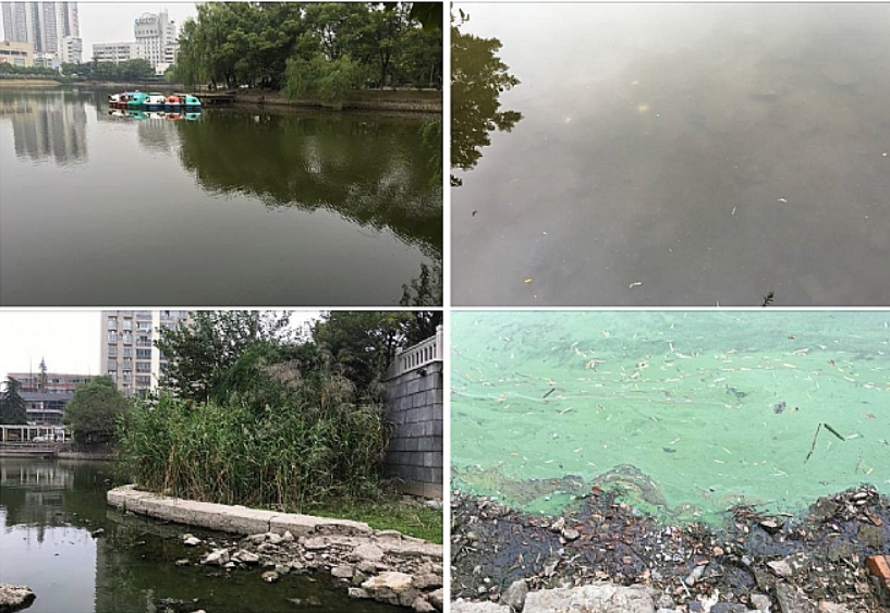 不朽情缘MG官方网站(试玩)游戏登录入口