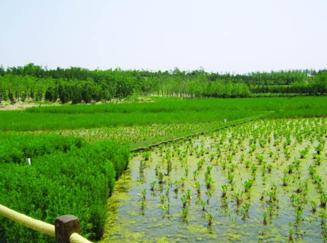 不朽情缘MG官方网站(试玩)游戏登录入口