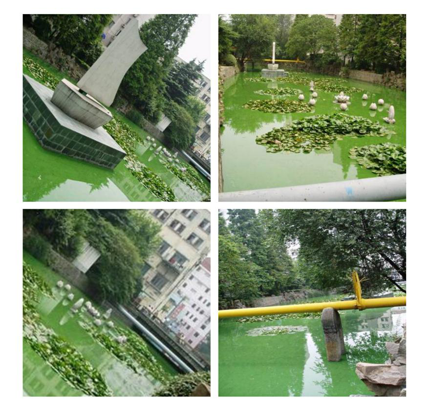 不朽情缘MG官方网站(试玩)游戏登录入口