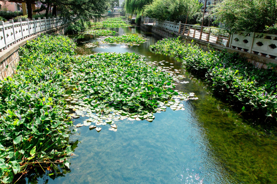 不朽情缘MG官方网站(试玩)游戏登录入口