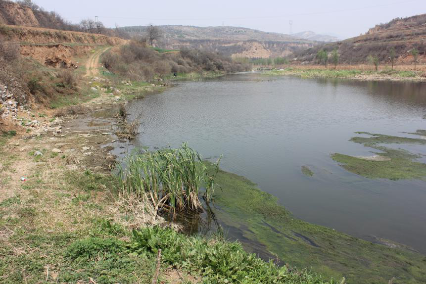 不朽情缘MG官方网站(试玩)游戏登录入口