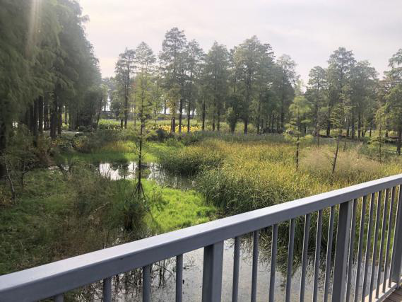 不朽情缘MG官方网站(试玩)游戏登录入口