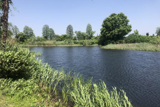 不朽情缘MG官方网站(试玩)游戏登录入口