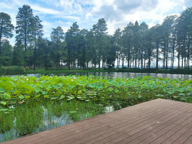 不朽情缘MG官方网站(试玩)游戏登录入口