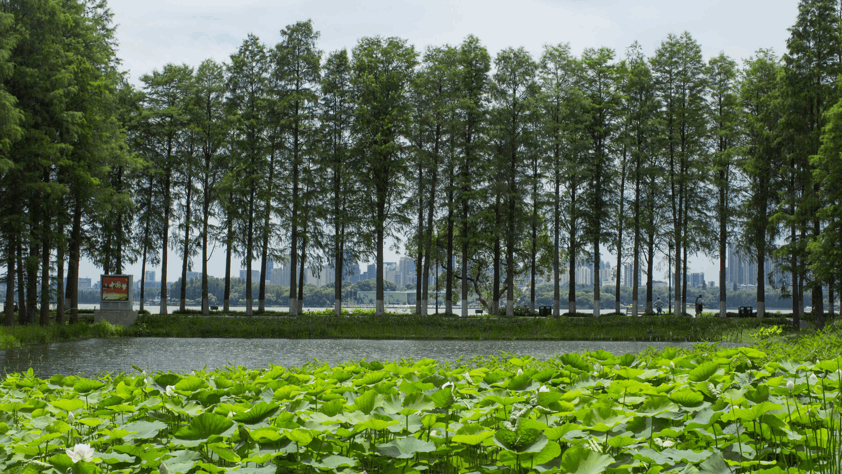 不朽情缘MG官方网站(试玩)游戏登录入口