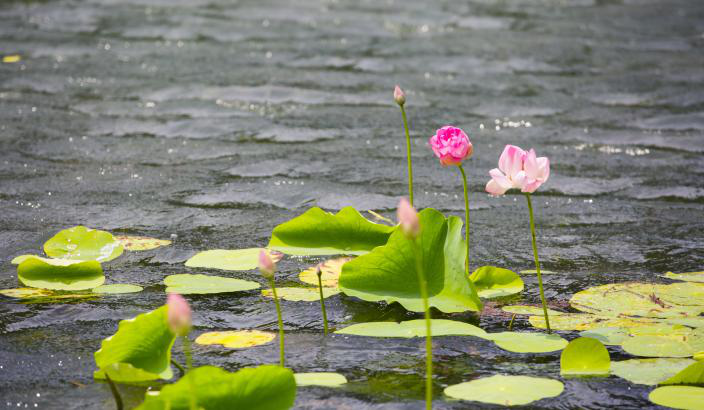 不朽情缘MG官方网站(试玩)游戏登录入口