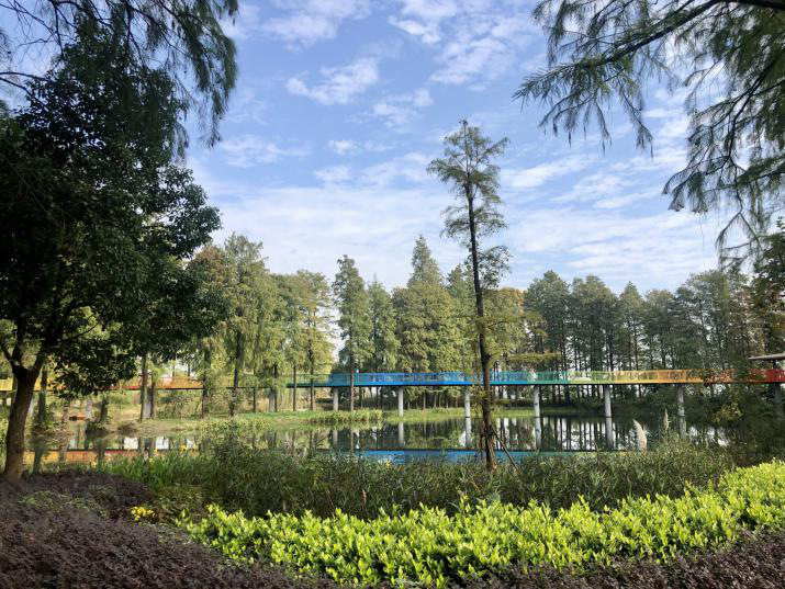 不朽情缘MG官方网站(试玩)游戏登录入口