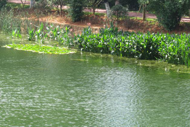 不朽情缘MG官方网站(试玩)游戏登录入口