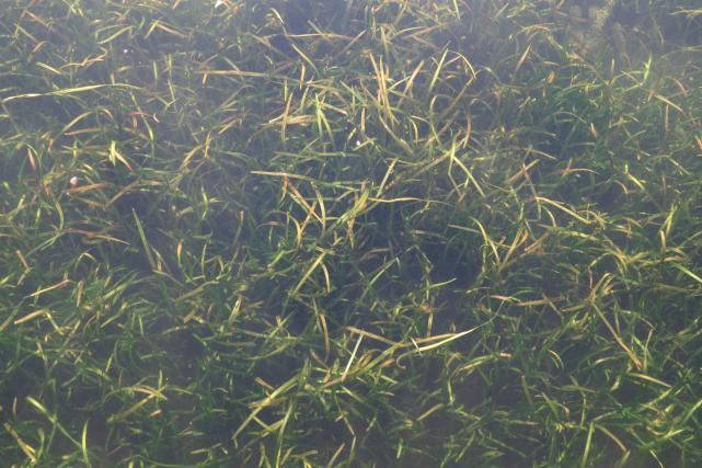 不朽情缘MG官方网站(试玩)游戏登录入口