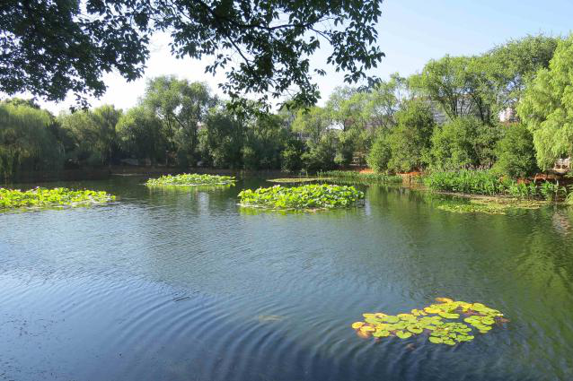 不朽情缘MG官方网站(试玩)游戏登录入口