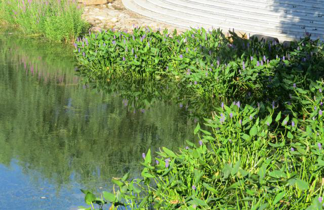 不朽情缘MG官方网站(试玩)游戏登录入口