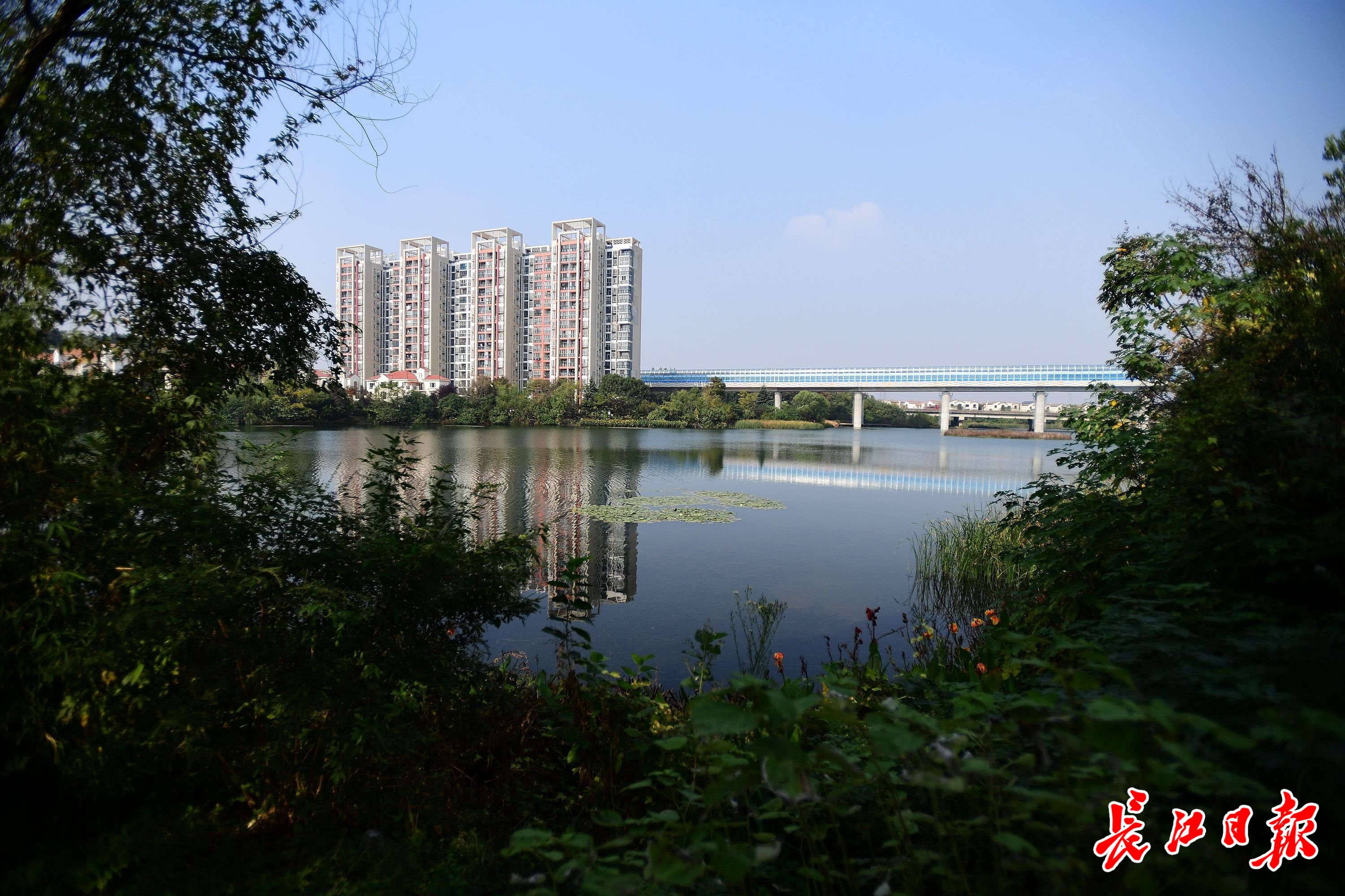 不朽情缘MG官方网站(试玩)游戏登录入口