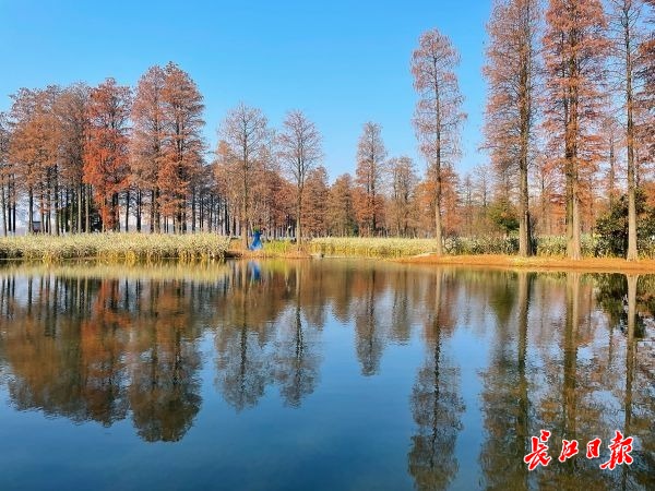 不朽情缘MG官方网站(试玩)游戏登录入口