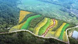 不朽情缘MG官方网站(试玩)游戏登录入口