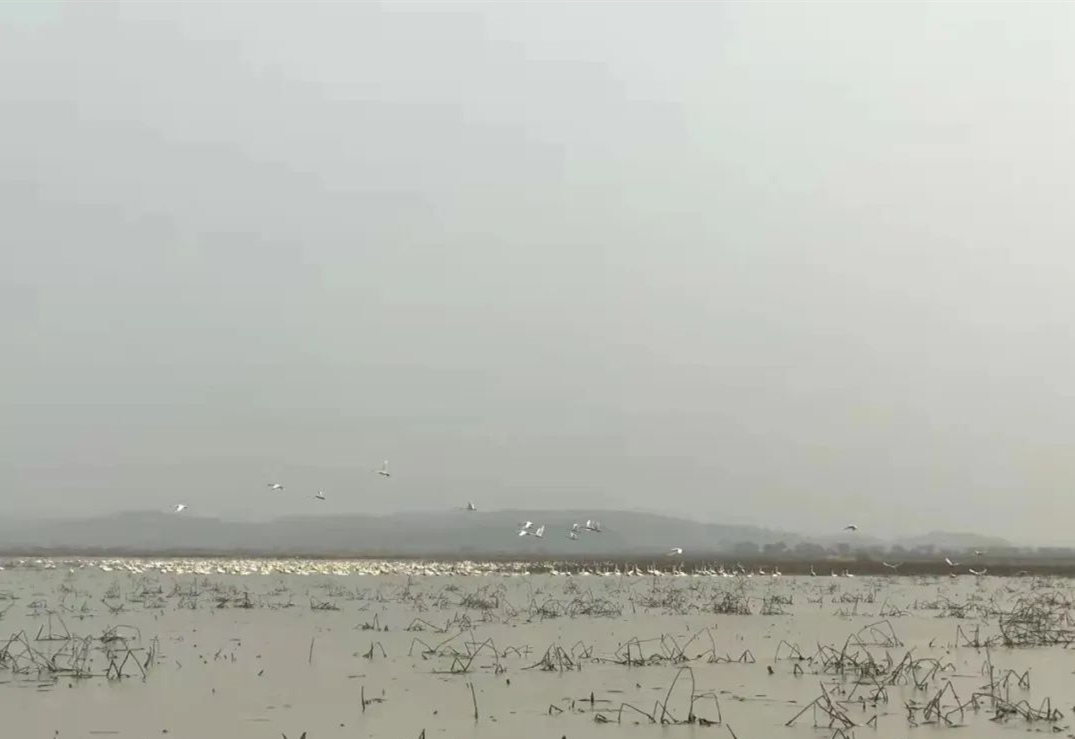 不朽情缘MG官方网站(试玩)游戏登录入口