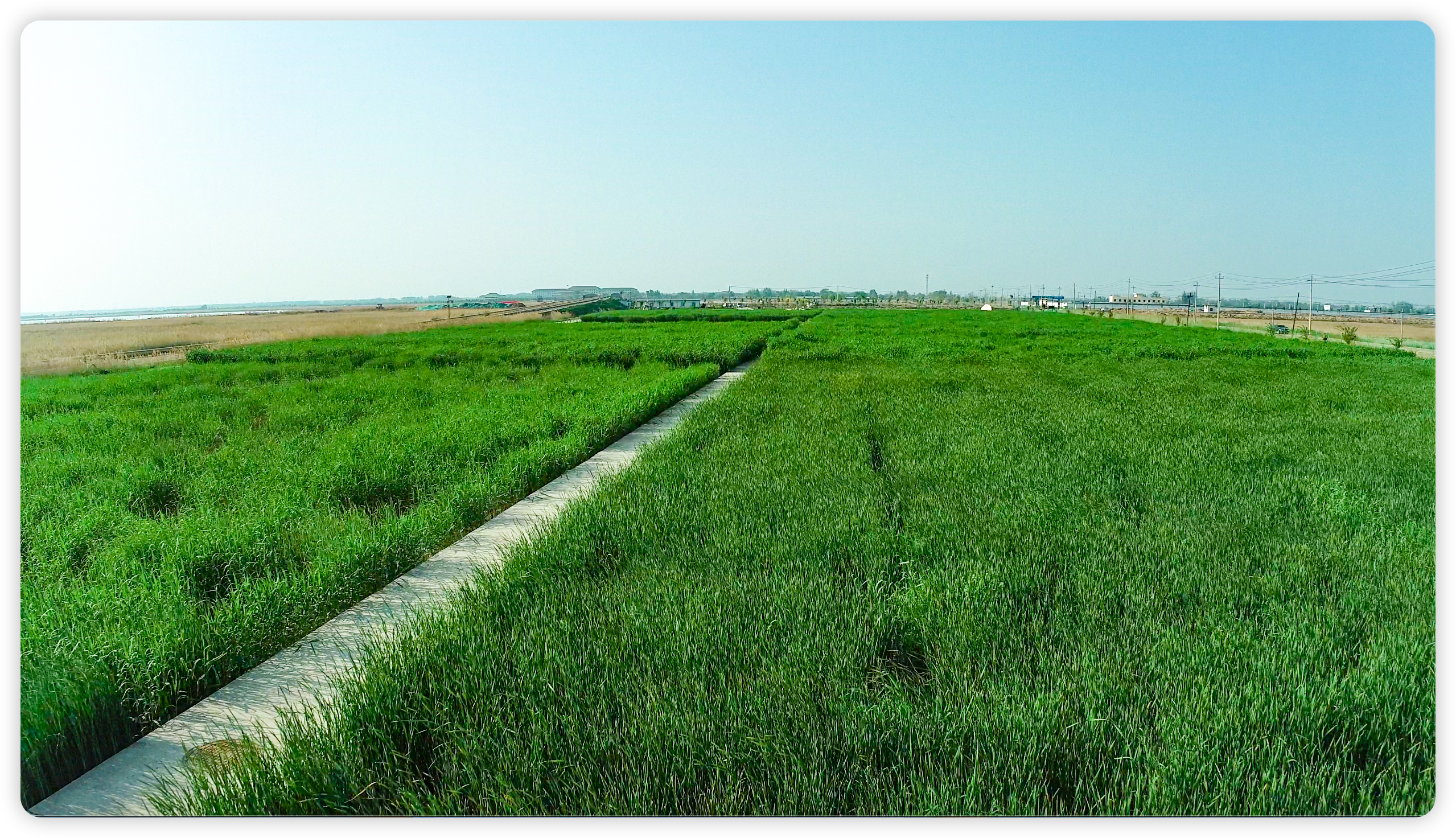 不朽情缘MG官方网站(试玩)游戏登录入口