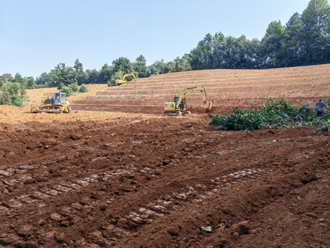 不朽情缘MG官方网站(试玩)游戏登录入口