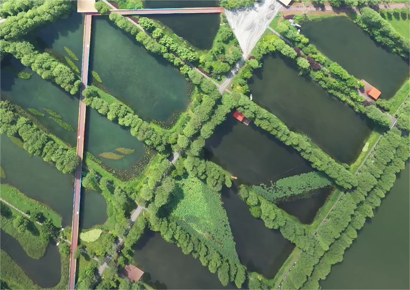 不朽情缘MG官方网站(试玩)游戏登录入口