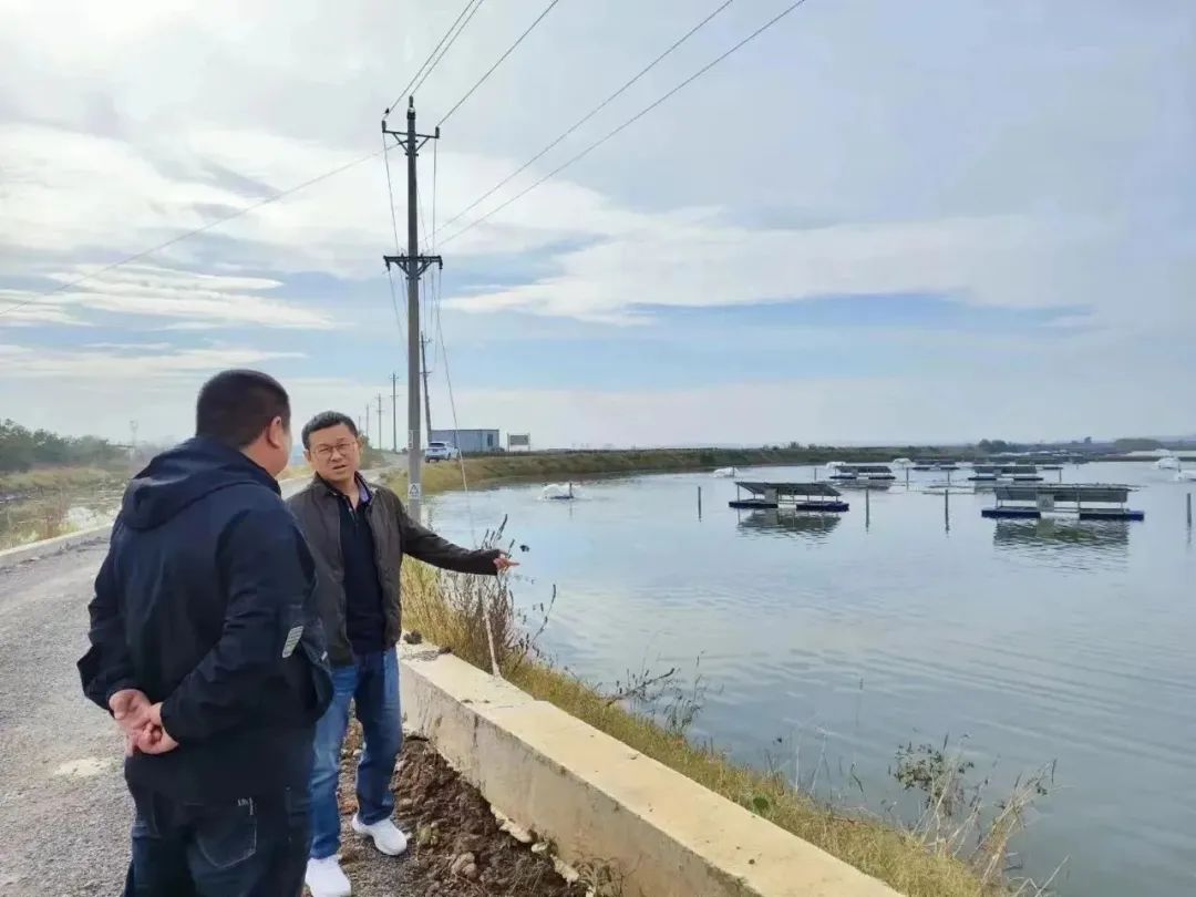 不朽情缘MG官方网站(试玩)游戏登录入口