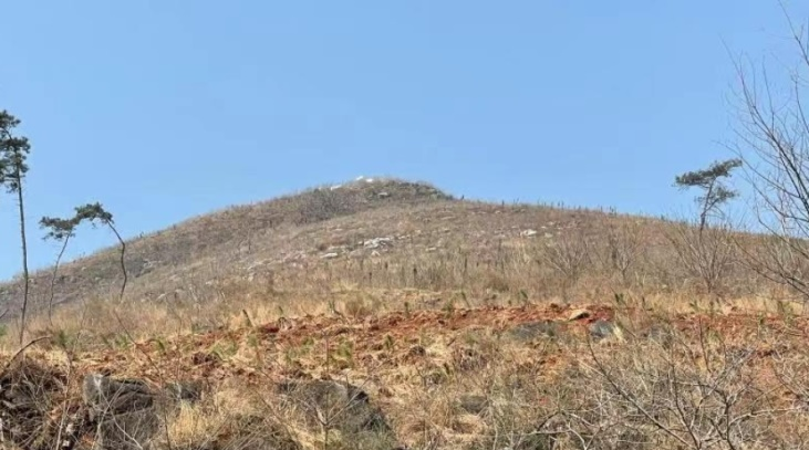 不朽情缘MG官方网站(试玩)游戏登录入口