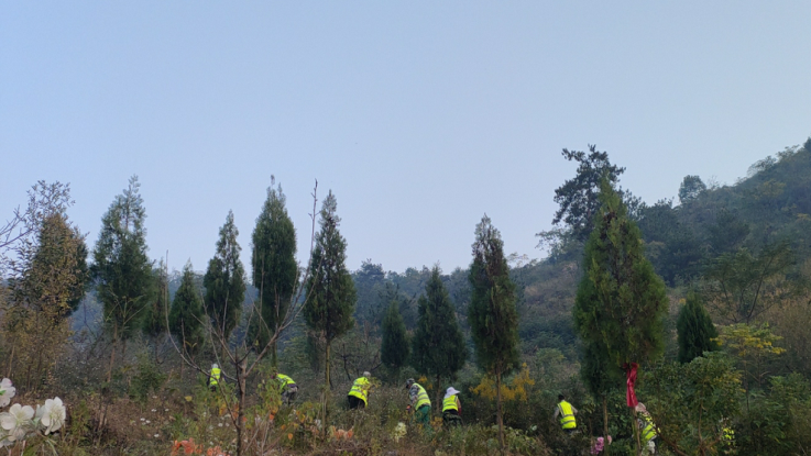 不朽情缘MG官方网站(试玩)游戏登录入口