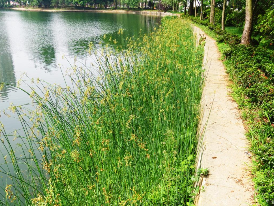 不朽情缘MG官方网站(试玩)游戏登录入口