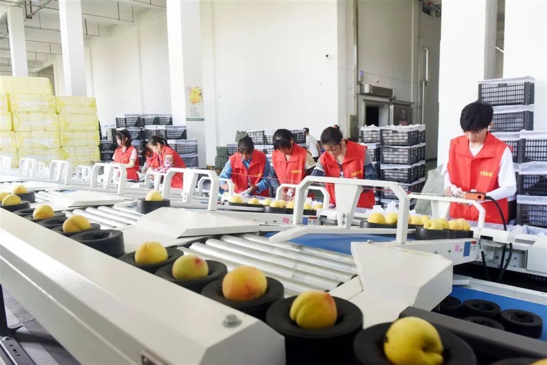 首页| 和记H88集团怡情博娱官网