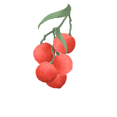 首页| 和记H88集团怡情博娱官网